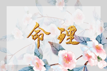 老皇历,老皇历查询,择吉老皇历